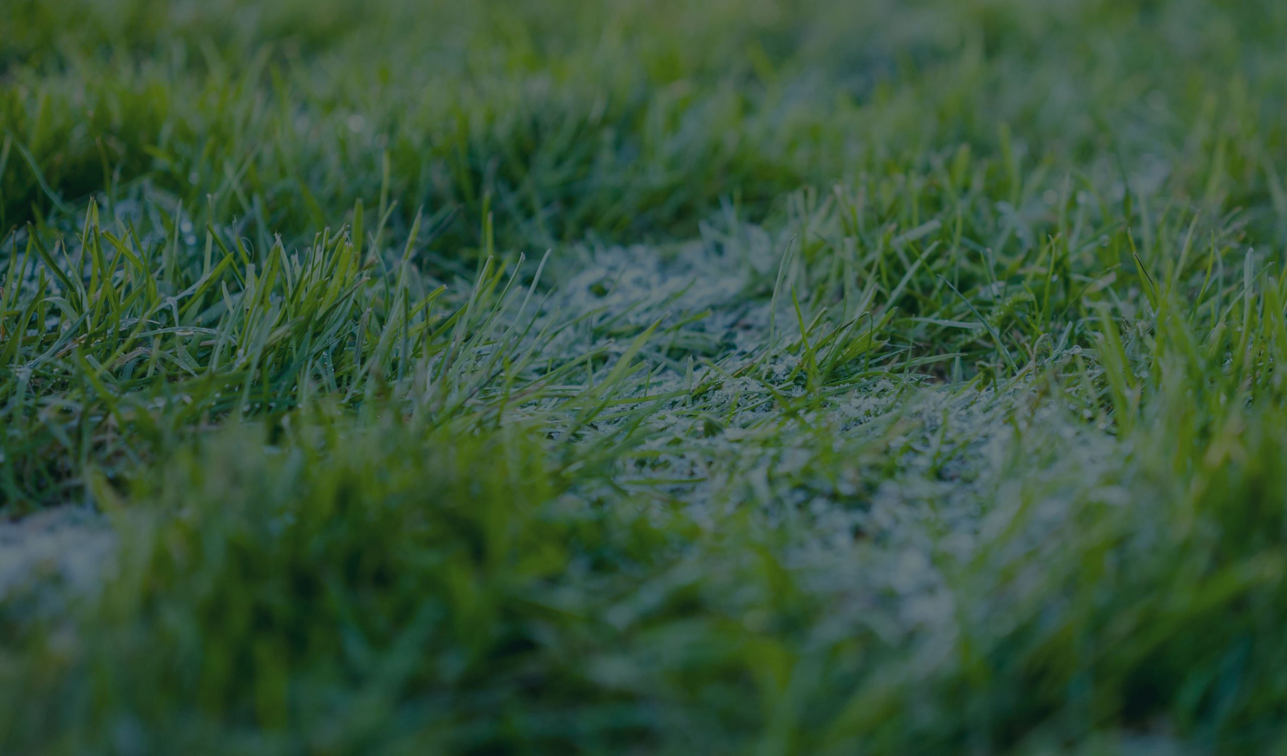 landscaper-aspects-background